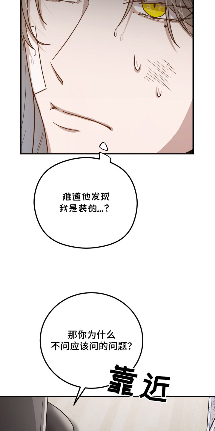 心陷谎言 - 胡说八道 - 第19页
