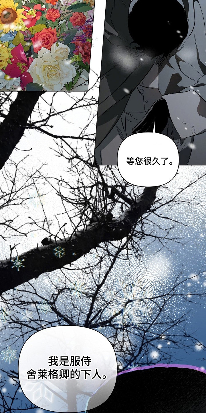 纯白献身 - 下人 - 第17页