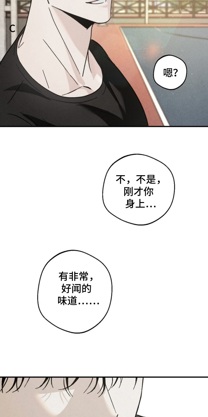 不透明关系 - 第二属性 - 第11页