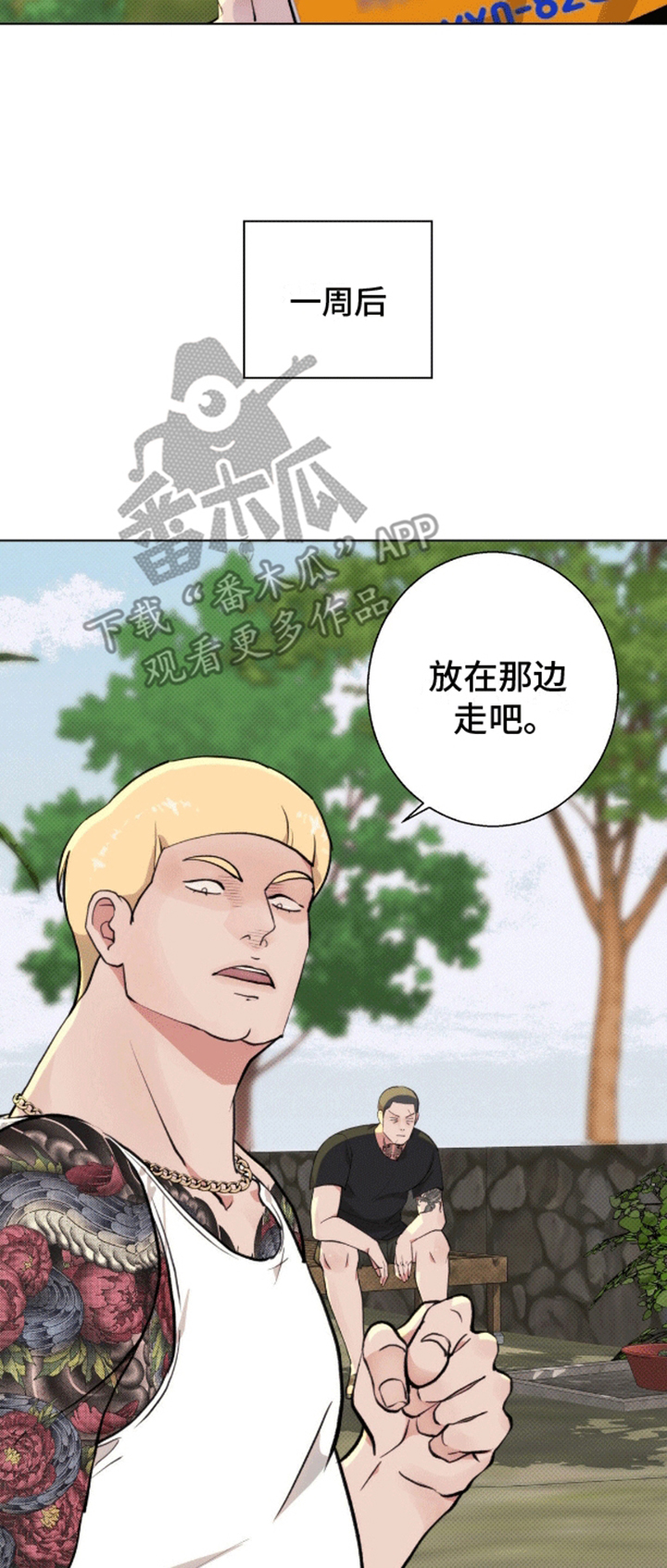 爱情岛 - 计划通 - 第11页