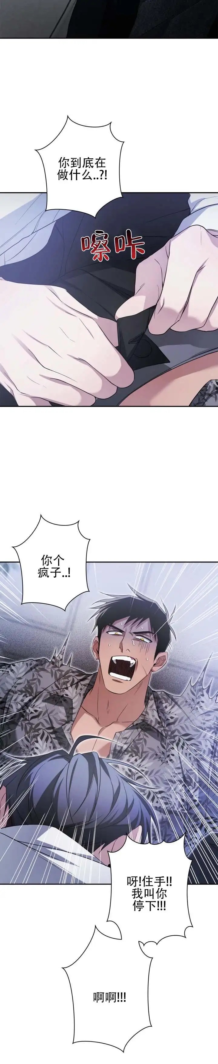 绝对复仇宣言 - 真是无语 - 第7页