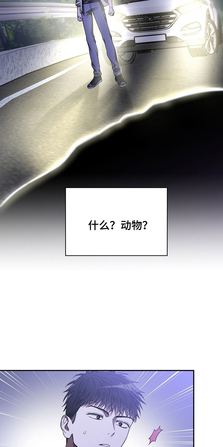 猛兽育儿书 - 正巧撞见 - 第13页