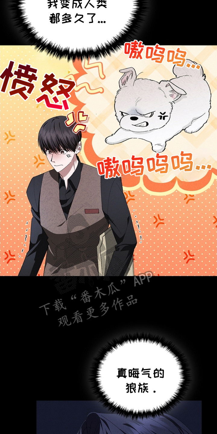 不要招惹小狗 - 闯祸了 - 第15页