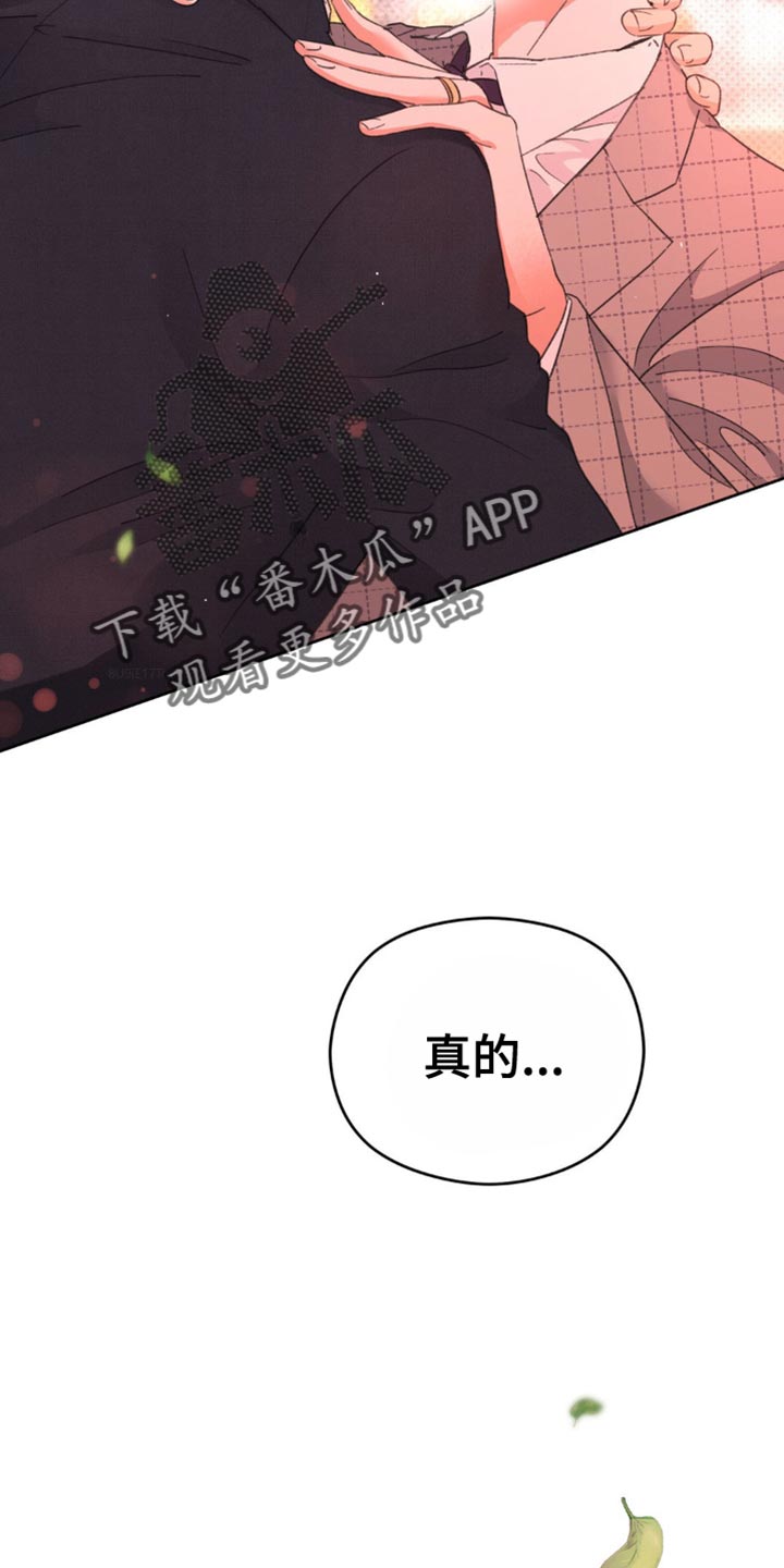 随声而动 - 我很爱你【完结】 - 第44页