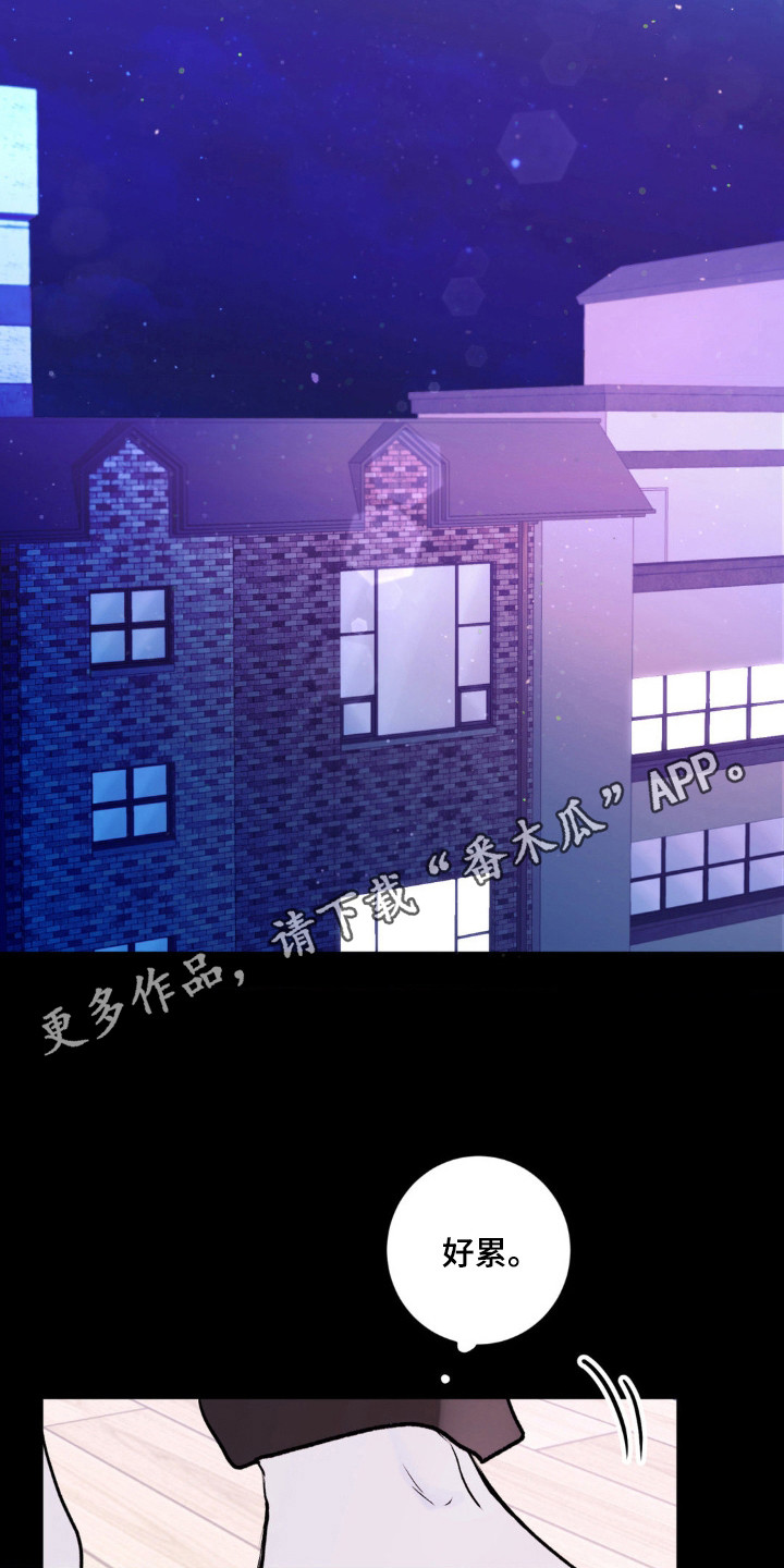 爱豆新成员 - 妄自期待 - 第12页