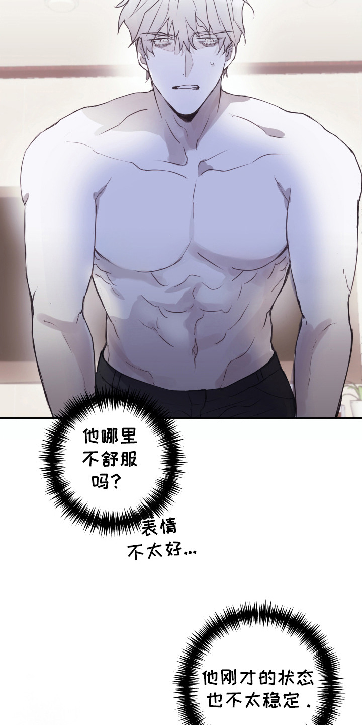 对峙法则 - 错认 - 第19页