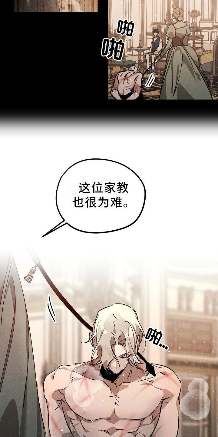 爱的合集 - 薰衣草花园-鞭打 - 第16页