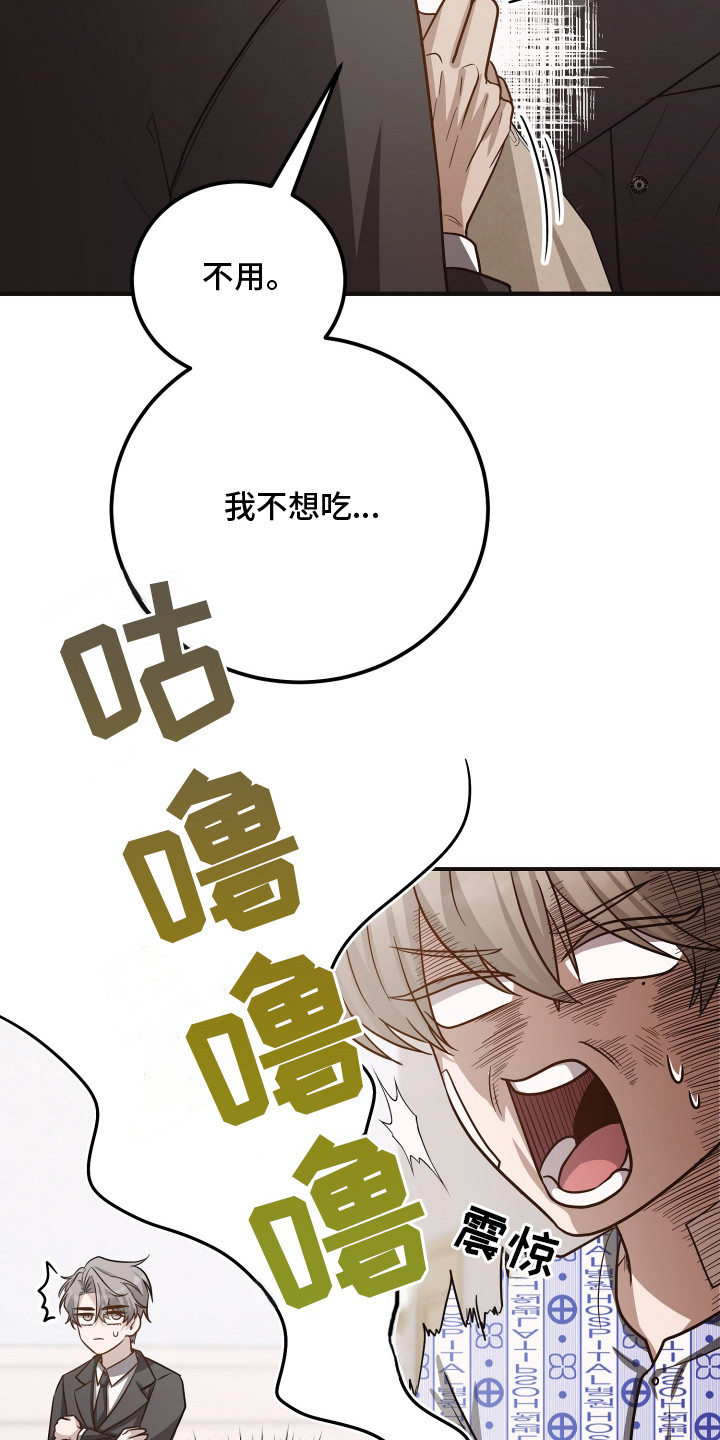 心陷谎言 - 失忆？ - 第14页