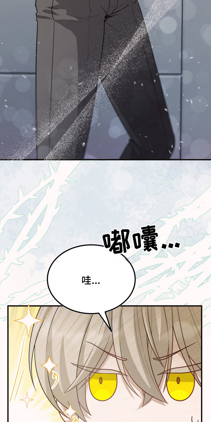 心陷谎言 - 怀疑 - 第21页