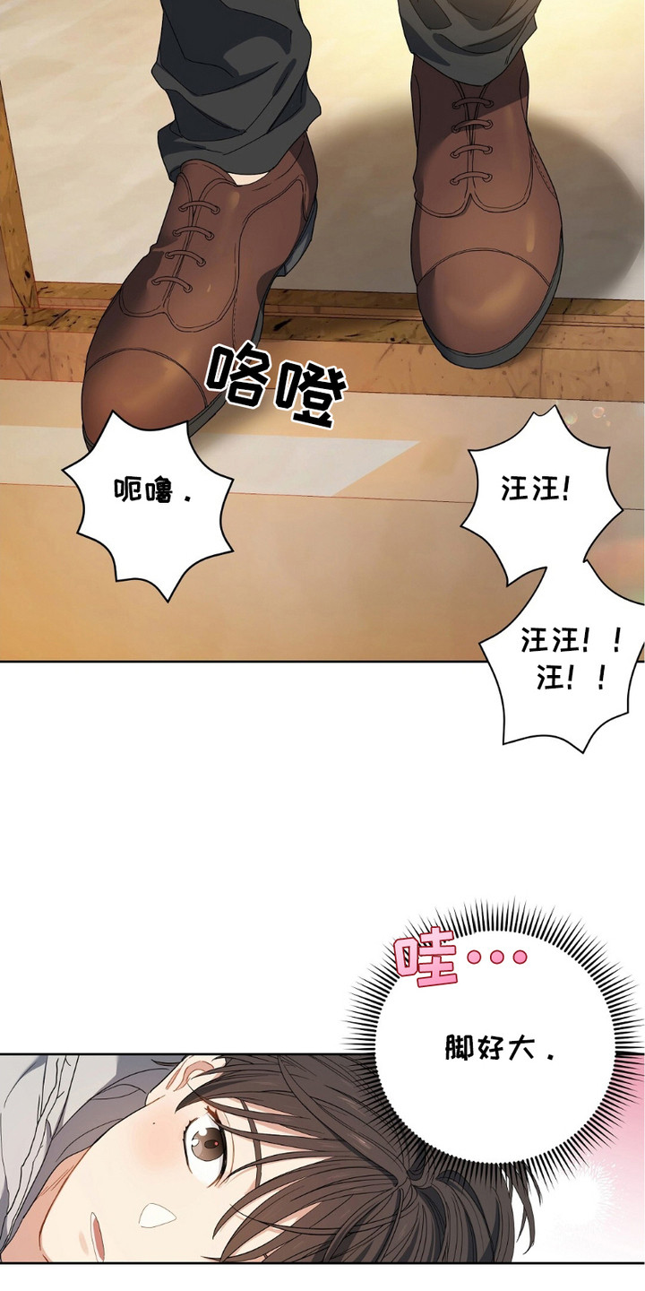 樱桃甜点 - 不速之客 - 第17页