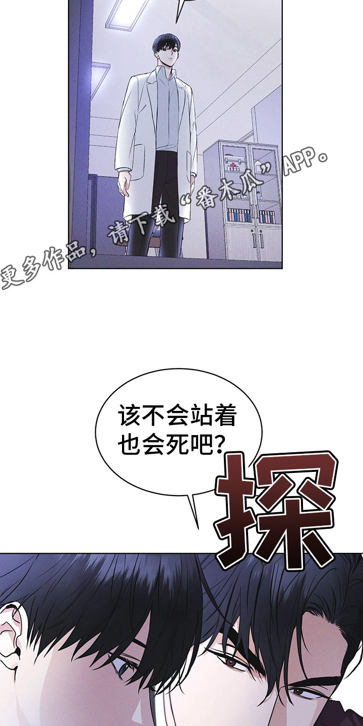 彩虹城 - 盯着 - 第12页