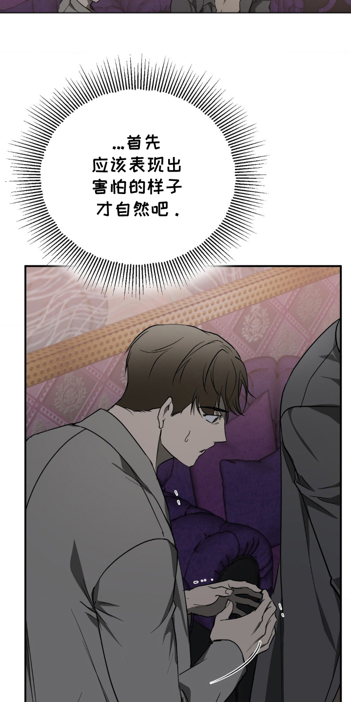 毒蛇 - 出乎意料 - 第23页