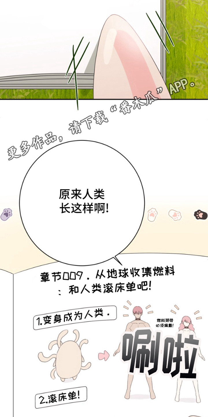 意外旅行记 - 迫降 - 第11页