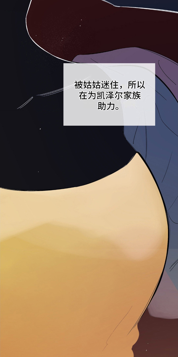 月光骑士 - 政敌 - 第23页