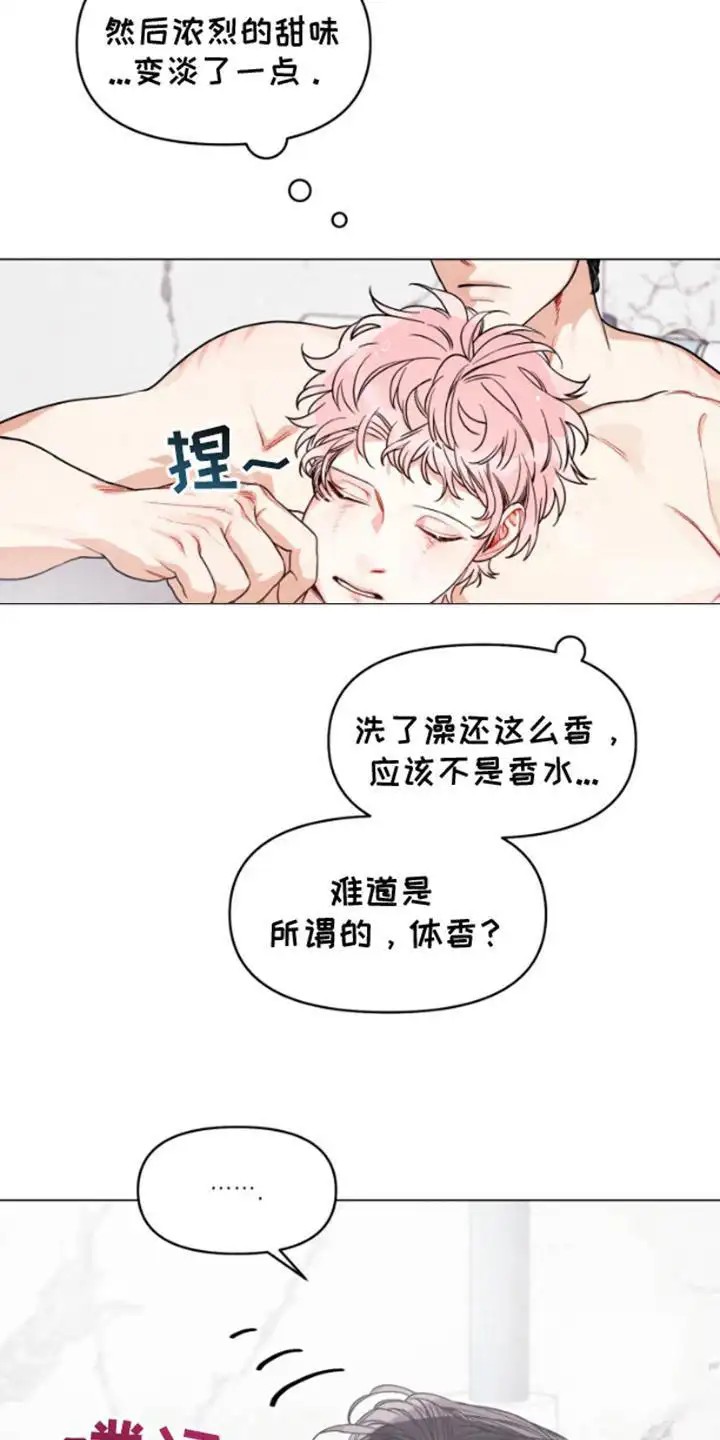 私人定制 - 香味 - 第18页