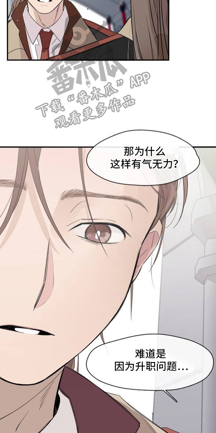 月光骑士 - 放心不下 - 第21页