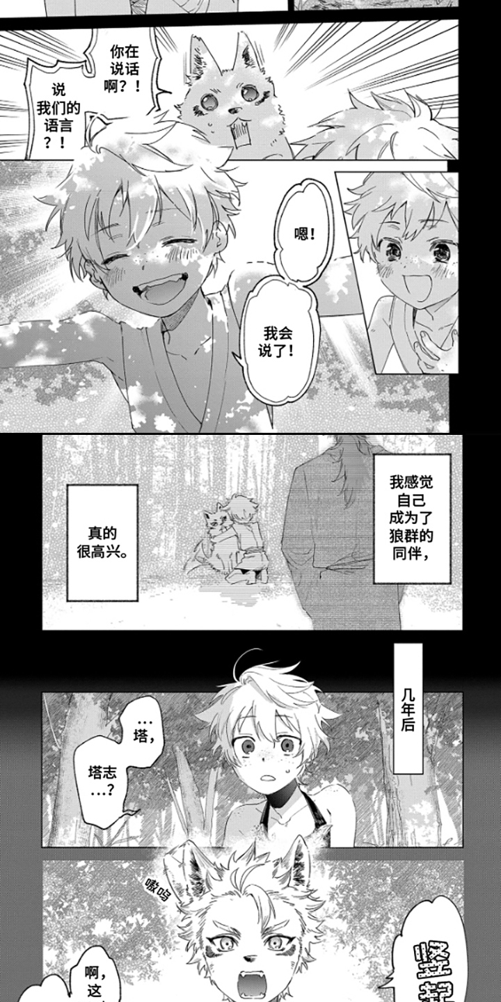 狼群中的少年 - 狼少年 - 第7页