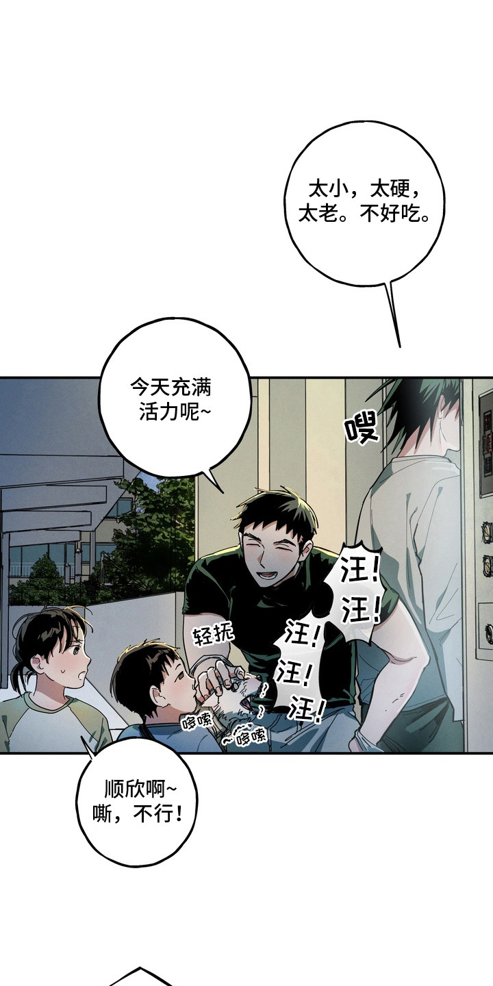 伪人室友 - 喜欢的事 - 第12页