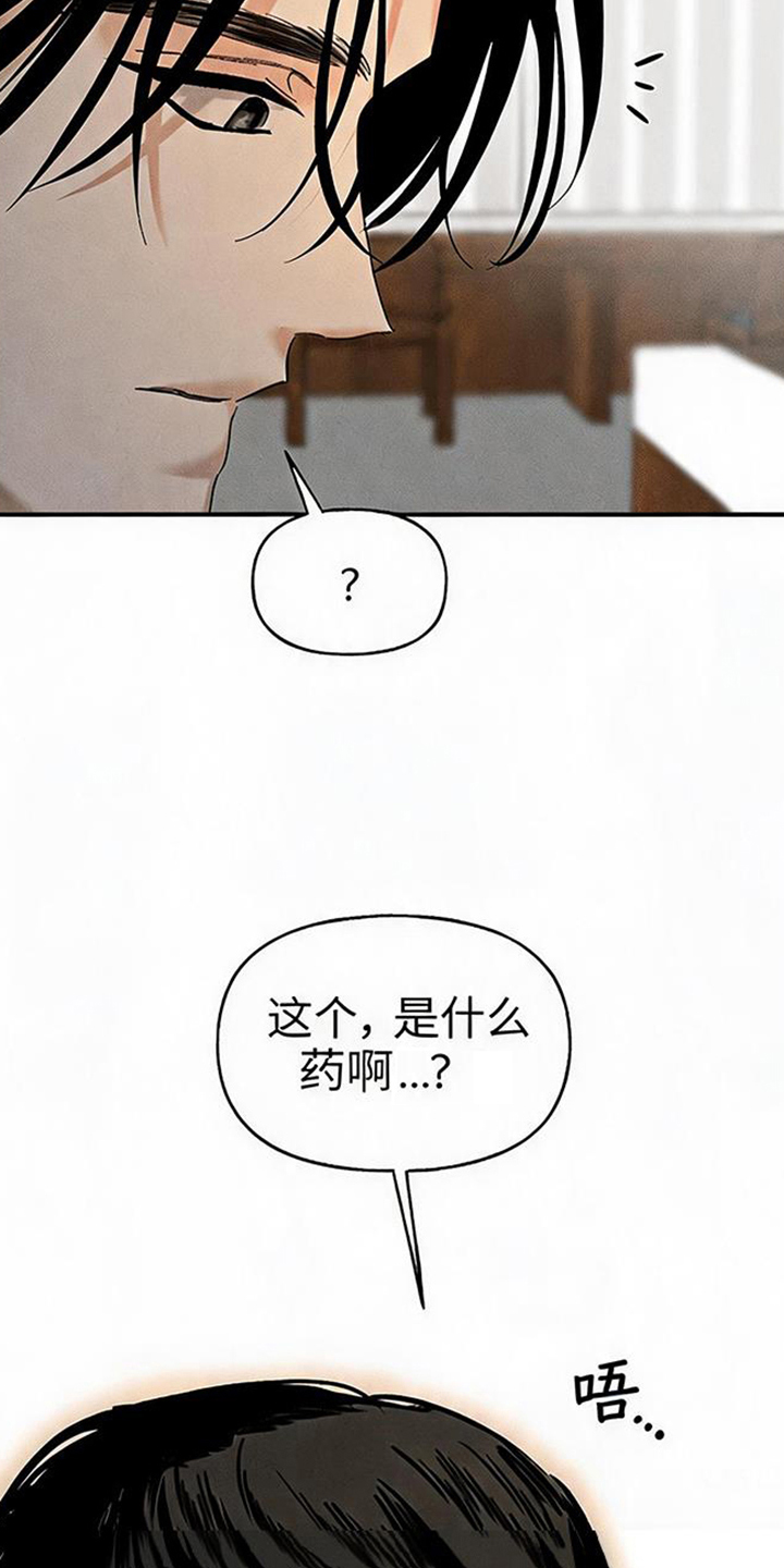 坠落的特技 - 你是哪里的演员 - 第26页