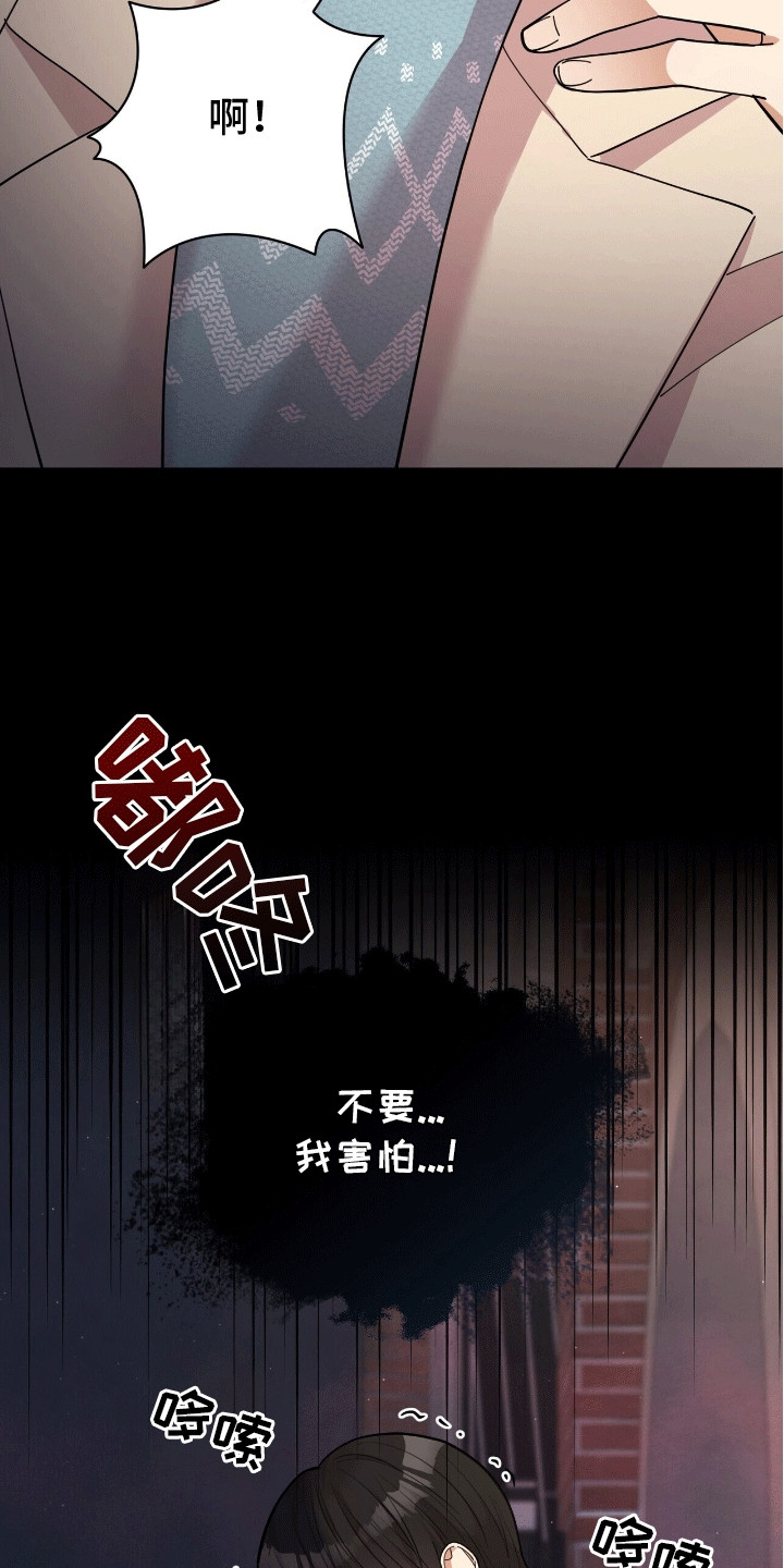 灿烂的黑暗 - 害怕 - 第14页