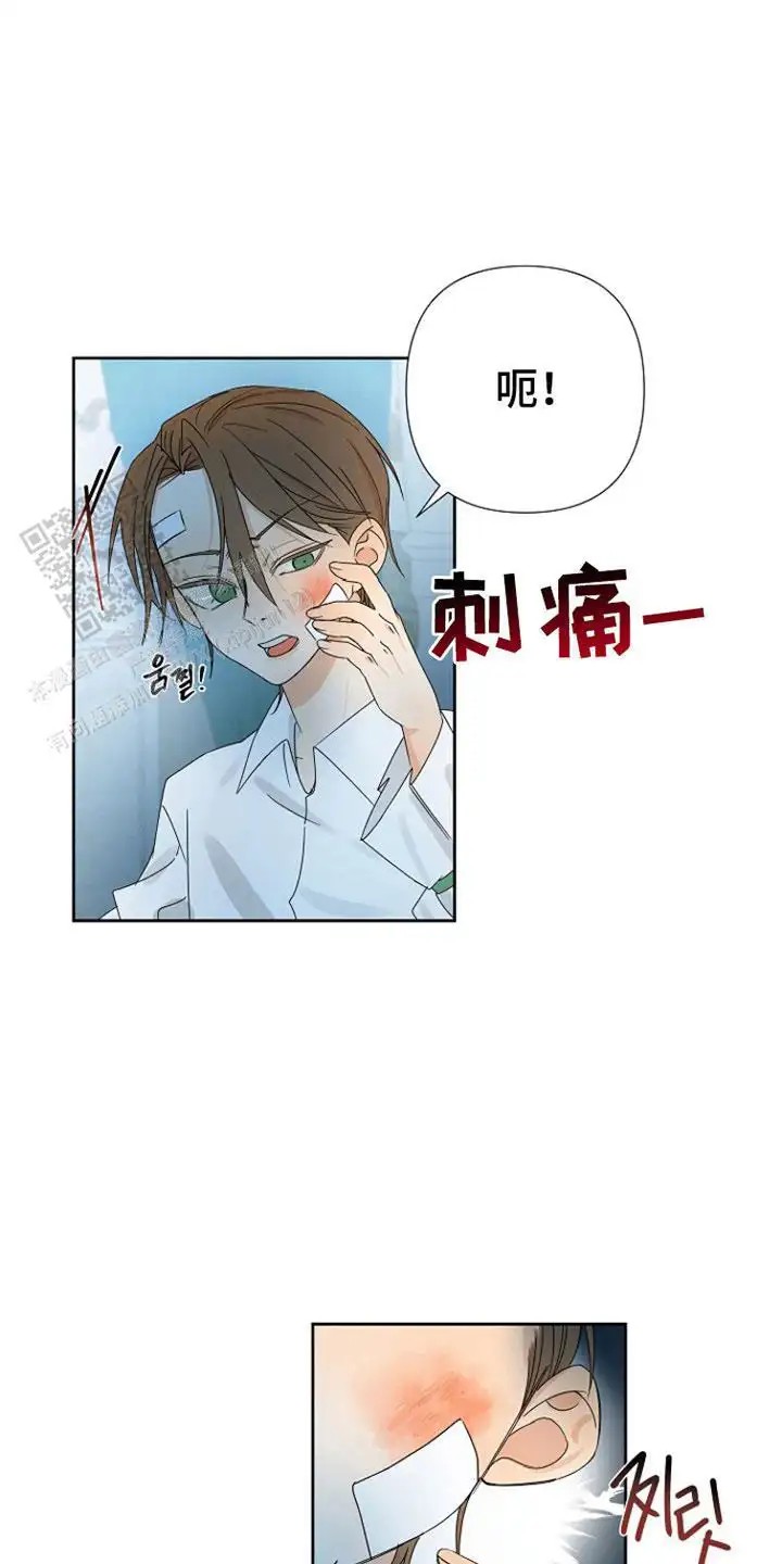 这个乙游不对劲 - 穿越 - 第7页