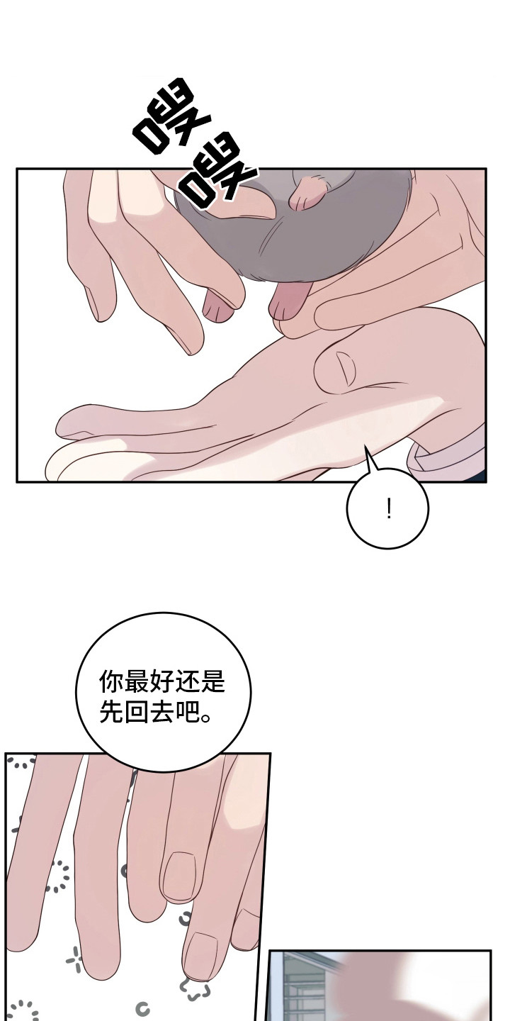 兔子保镖 - 很有趣 - 第21页