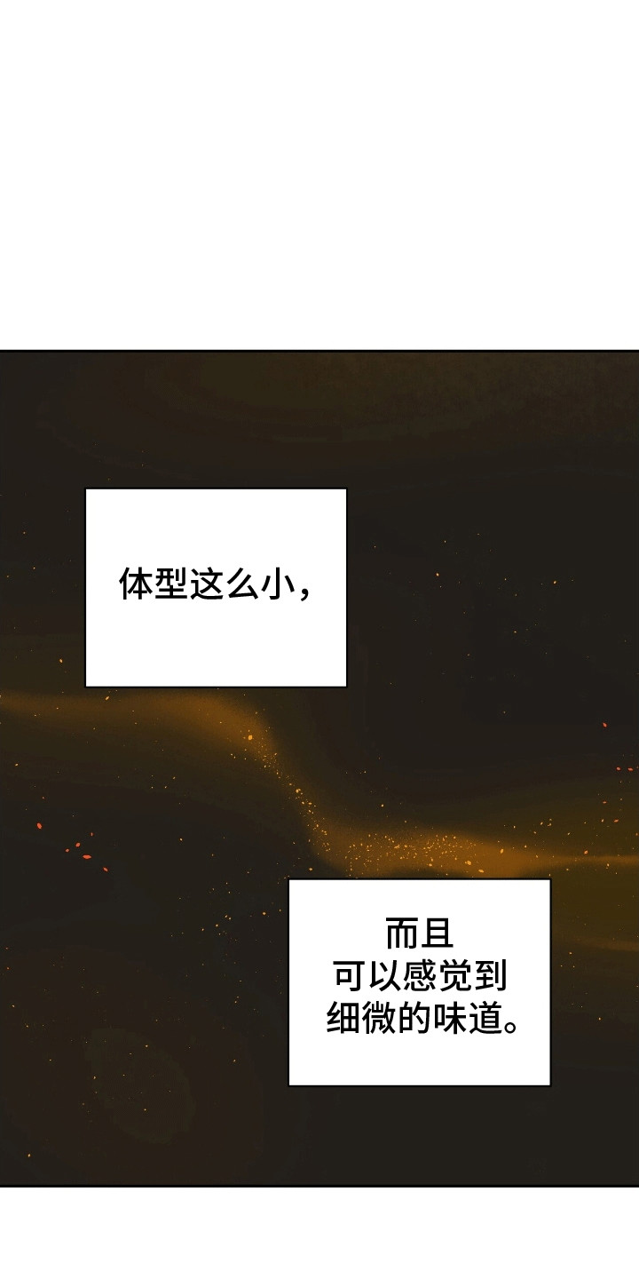 搏击俱乐部 - 对战选手 - 第19页