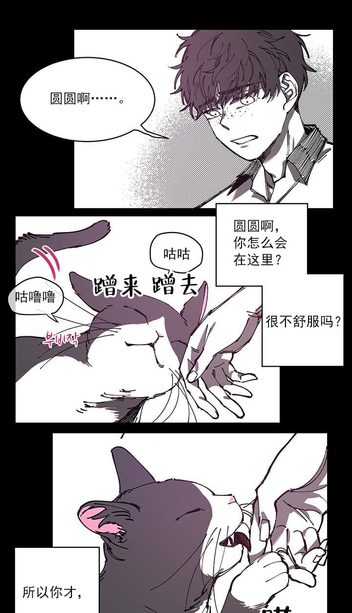 交错的海洋 -   - 第12页