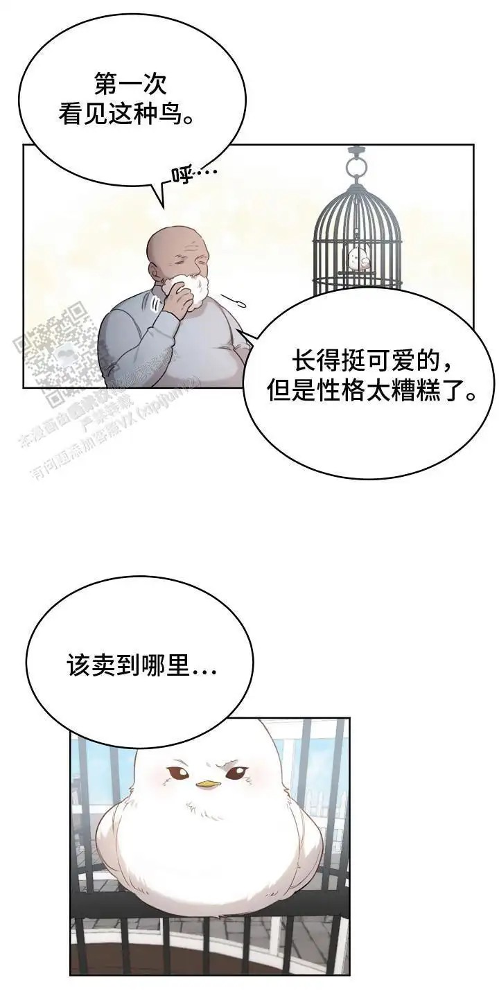 白鸟奇遇记 - 性格不好 - 第12页