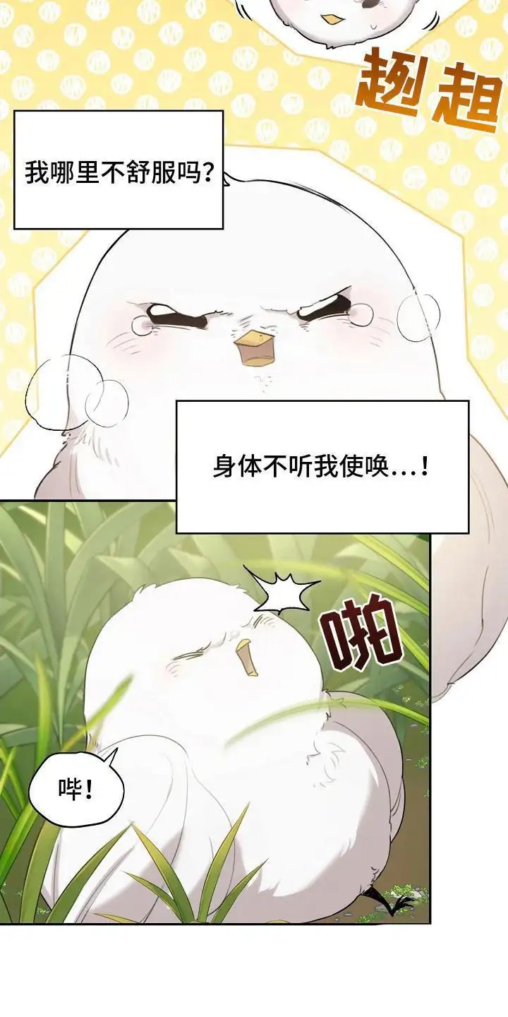白鸟奇遇记 - 白色小鸟 - 第10页