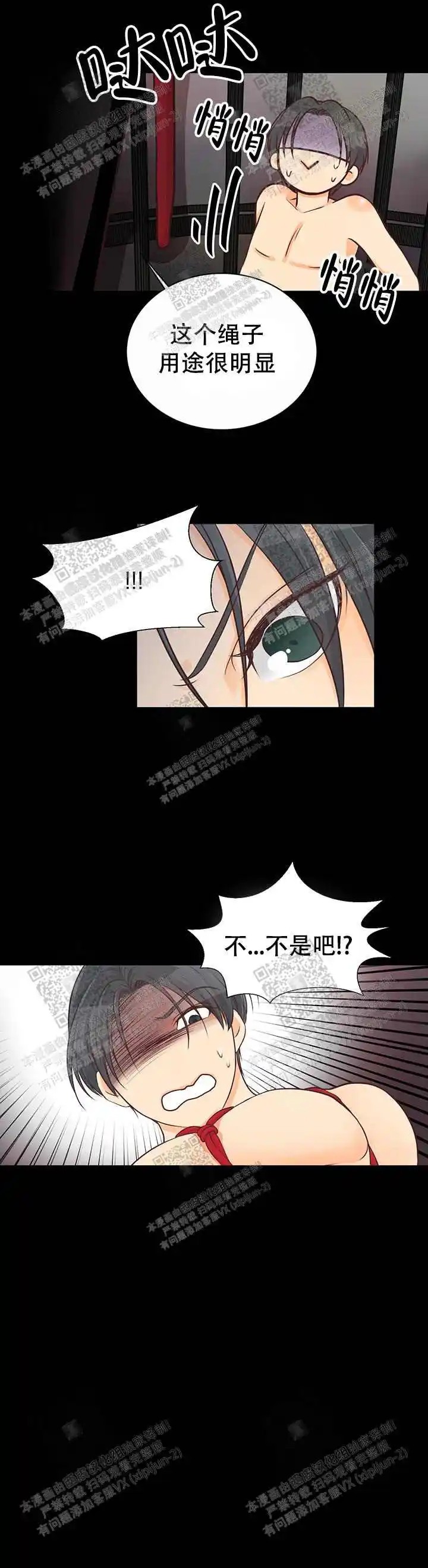 鸟笼 - 什么答案 - 第13页