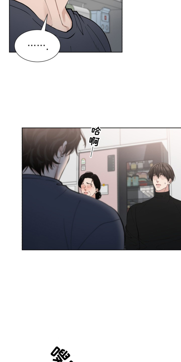 双向反转 - 解释 - 第13页