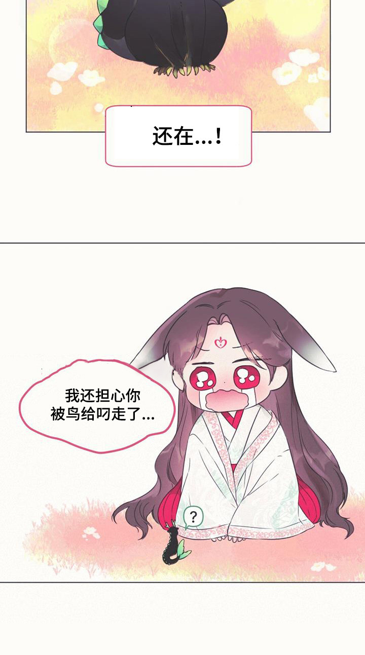 兔兔的小龙宝 - 取名 - 第13页