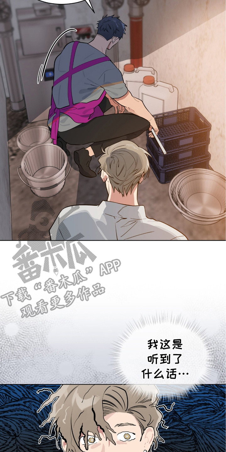 完美身材 - 走着瞧 - 第18页