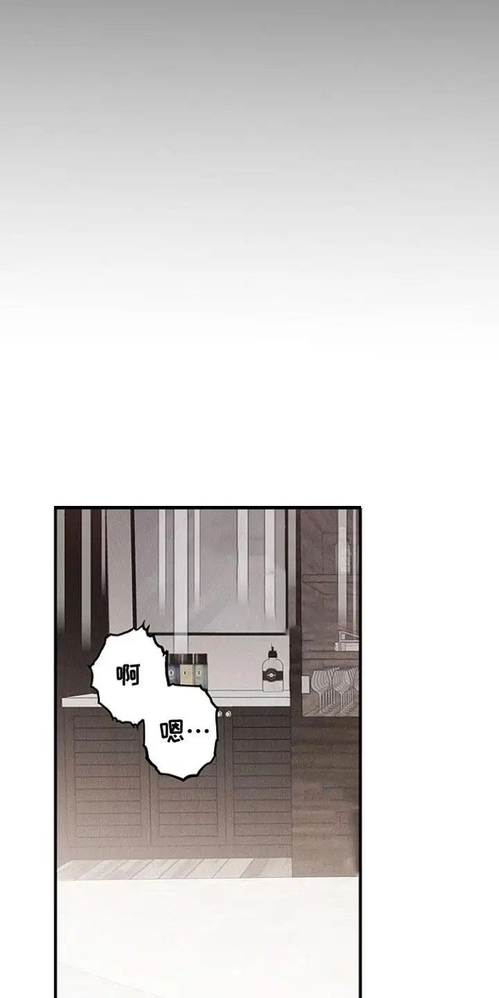 双向替代 - 到此为止 - 第6页