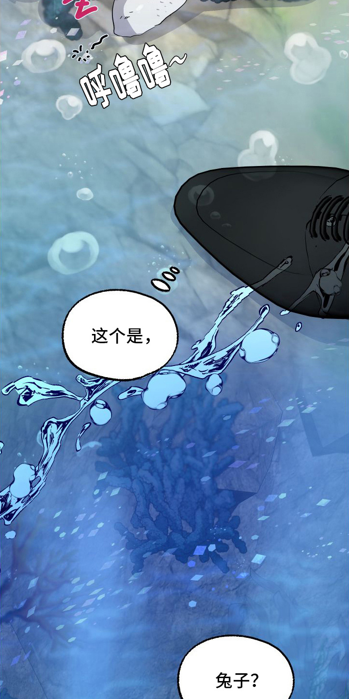 鲨鱼的新娘 - 捡回家 - 第9页