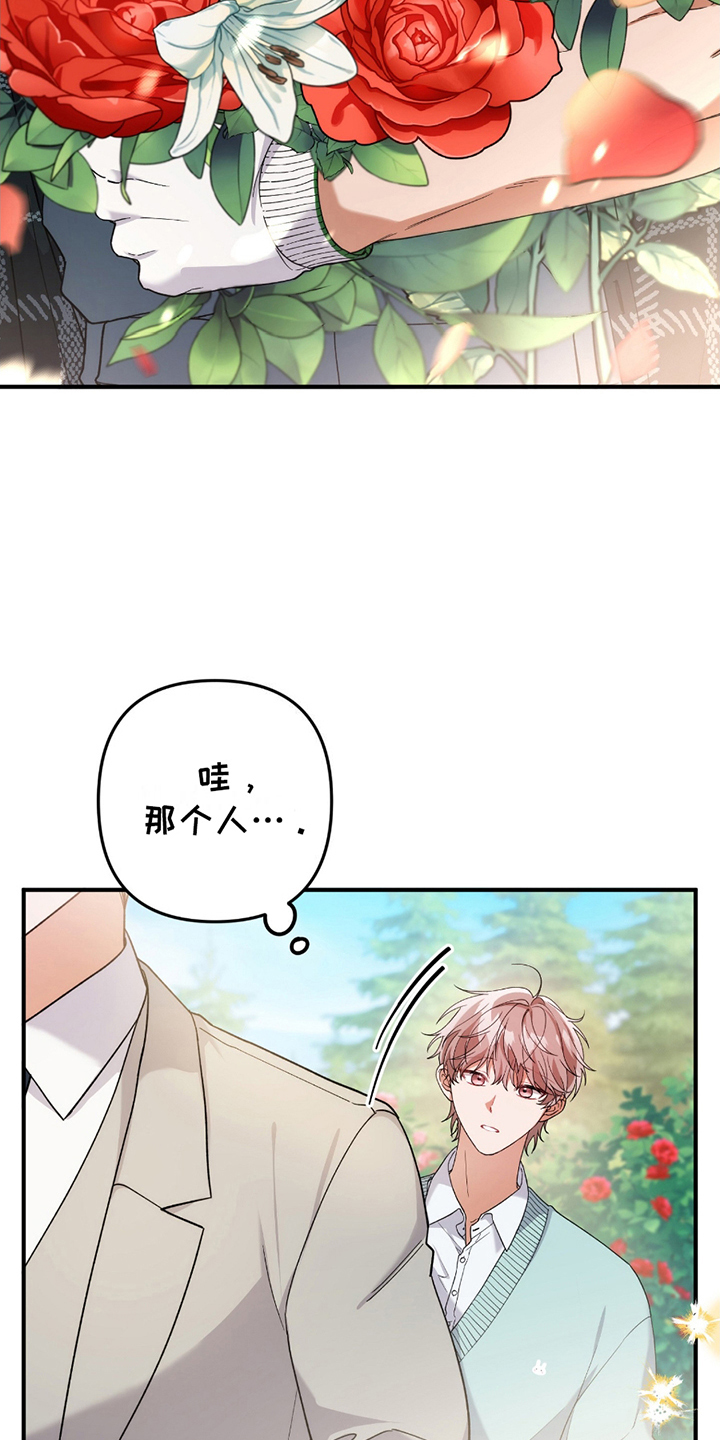 玫瑰庭院 - 灰熊 - 第20页