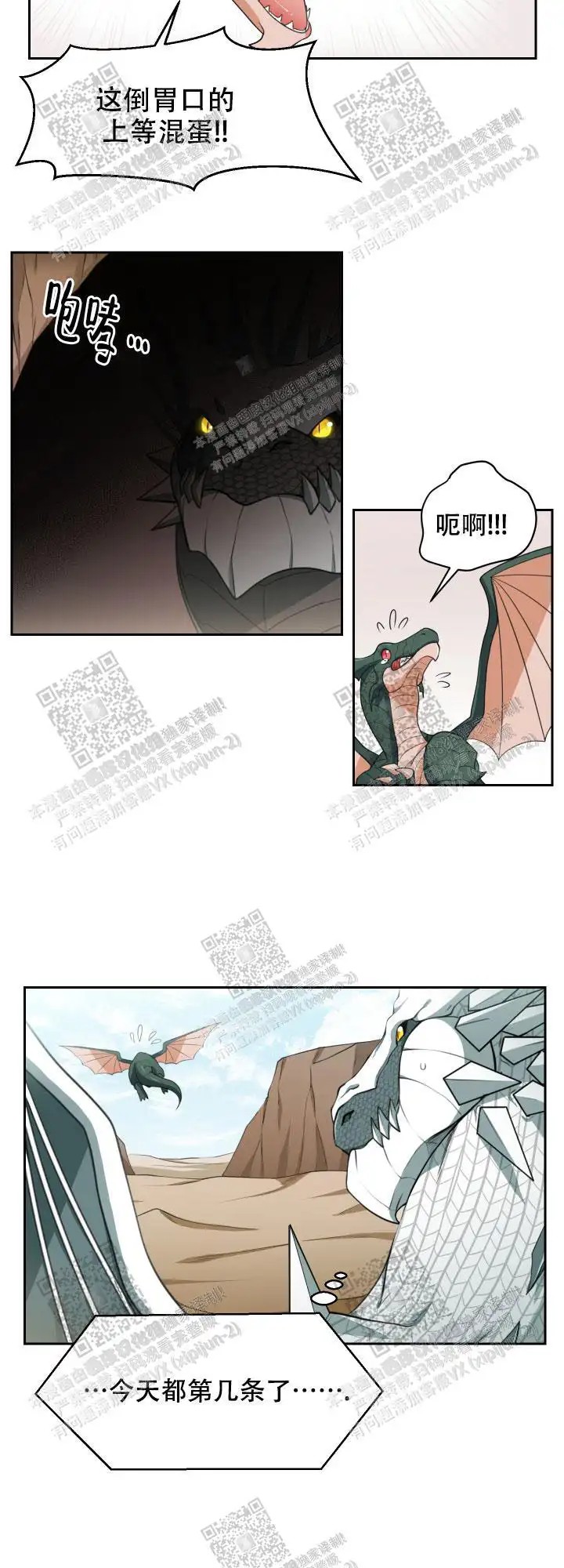 在我的沙漠 - 请求 - 第13页