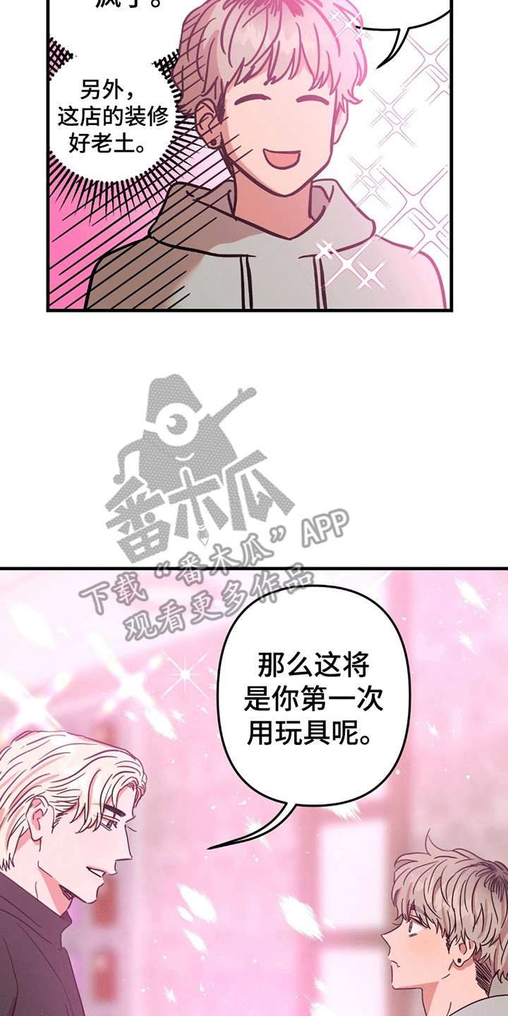 当场逮捕 - 条件 - 第20页