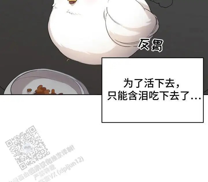 白鸟奇遇记 - 性格不好 - 第17页