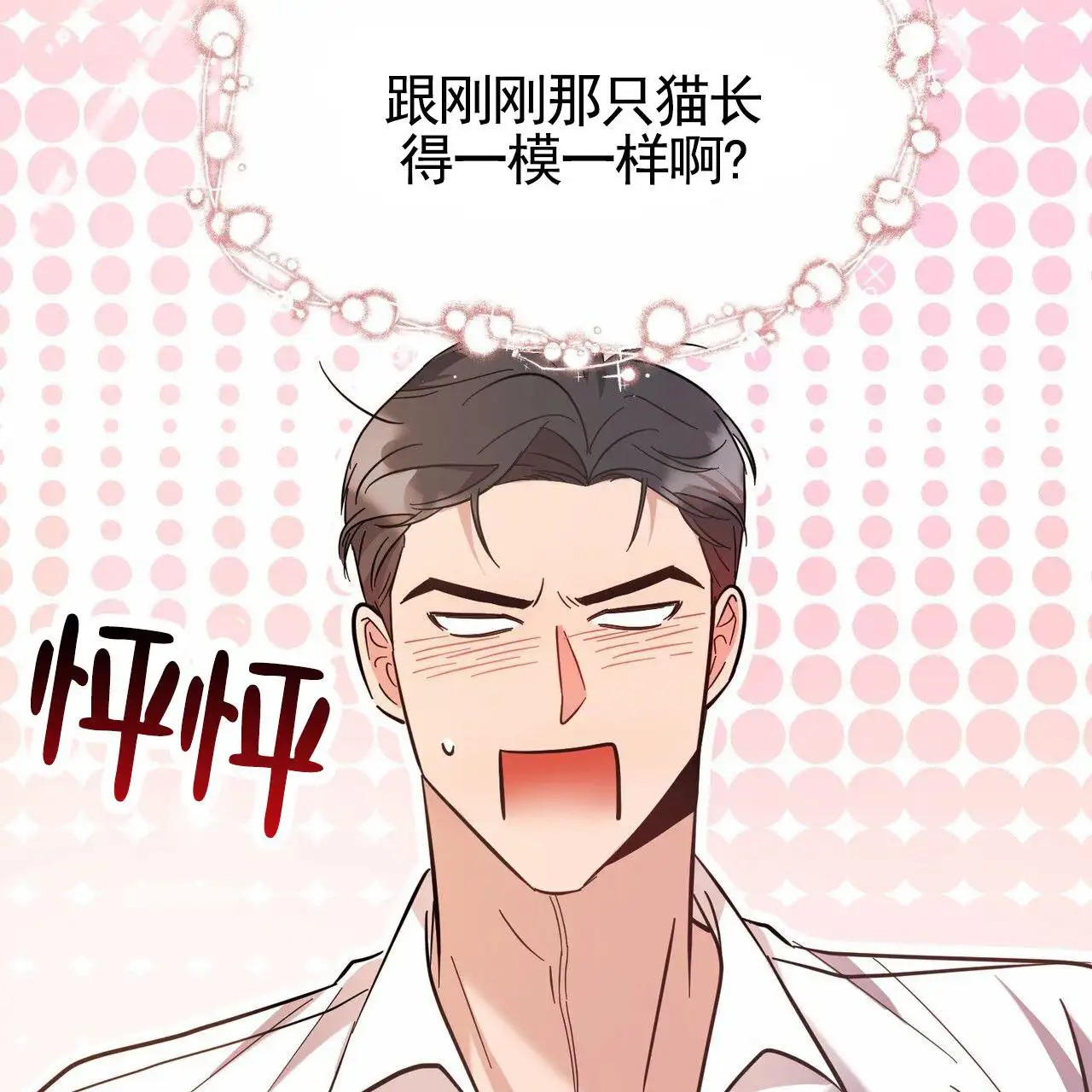 纯情黑帮 - 亲自检测 - 第47页