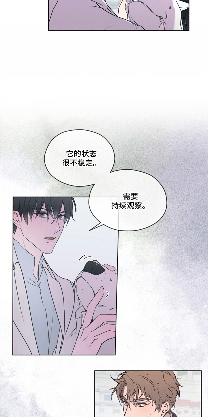 呼吸的记忆 - 再次见面 - 第6页