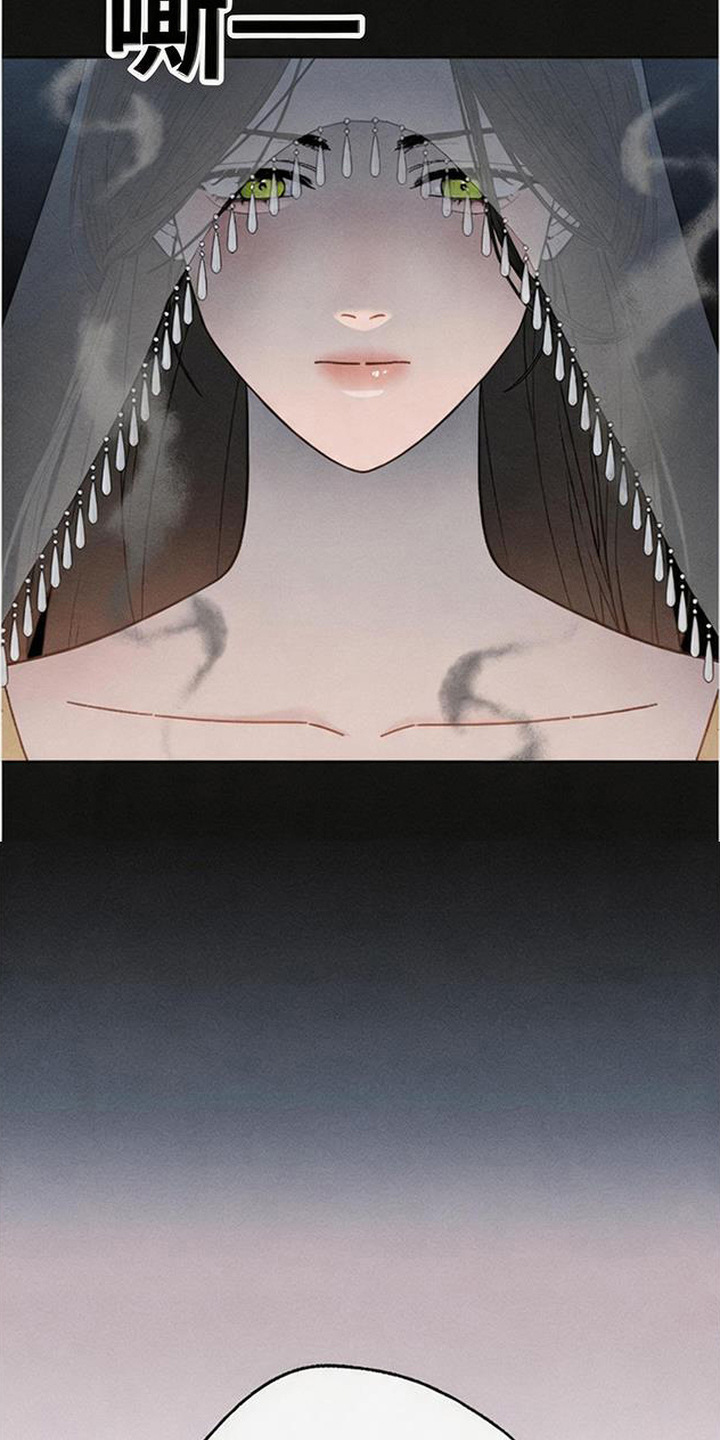 倾城伪妆 - 伪王 - 第13页
