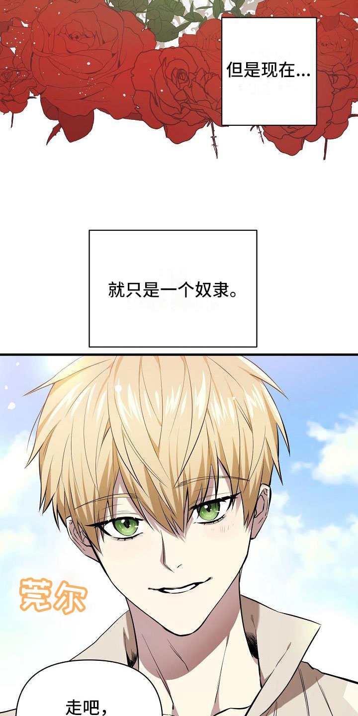 帝国的轮回 - 现在是奴隶 - 第17页