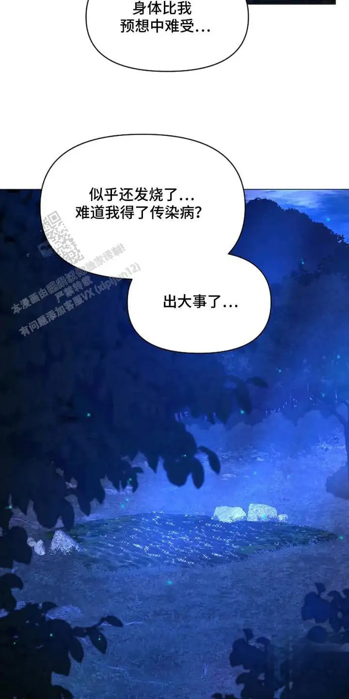 乱世之花 - 准备出征 - 第24页