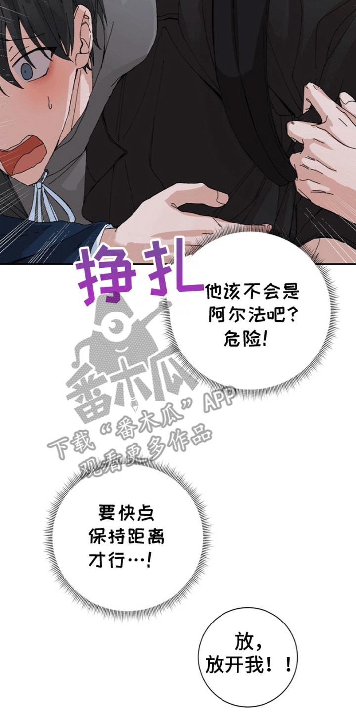 奇异夫妇 - 和我结婚吧 - 第17页
