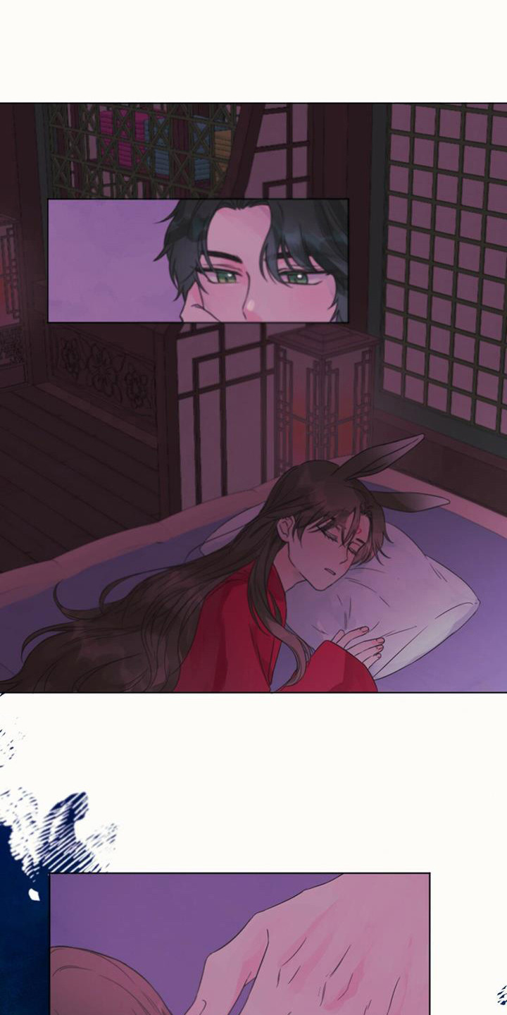 兔兔的小龙宝 - 差点发现 - 第14页