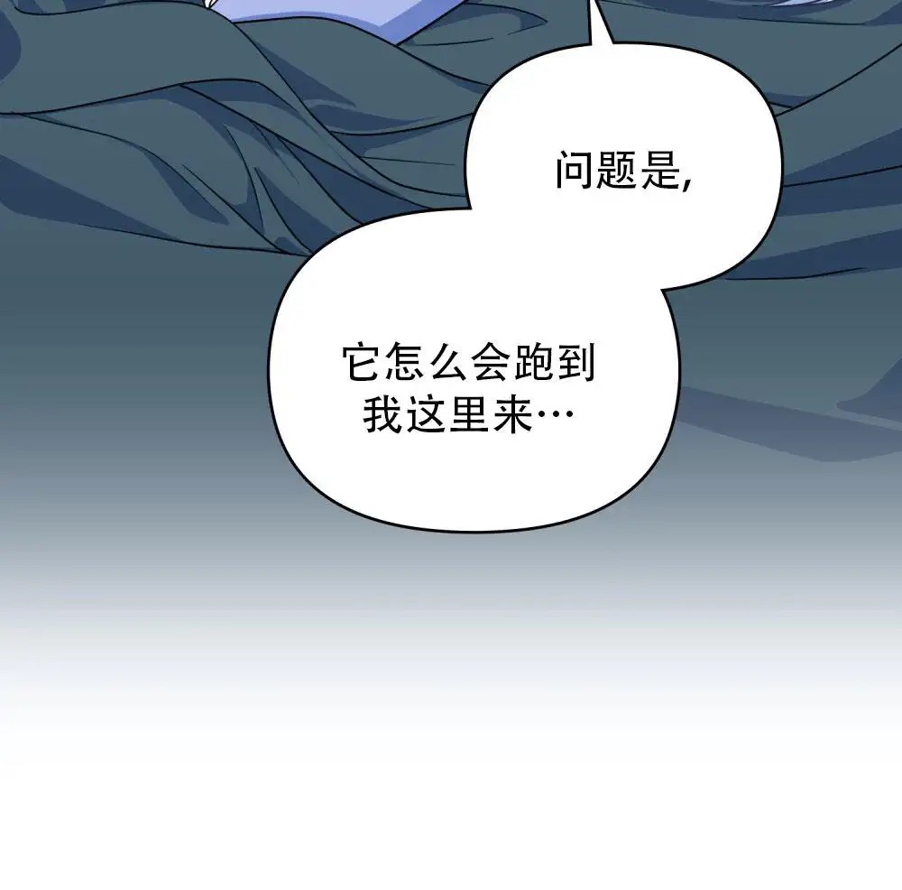 转世魔法师 - 记得我吗 - 第18页