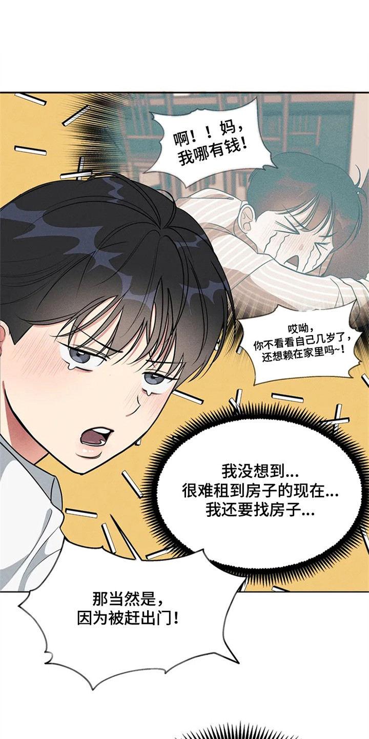 同居申请 - 我也能搬进来吗？-找房子 - 第11页