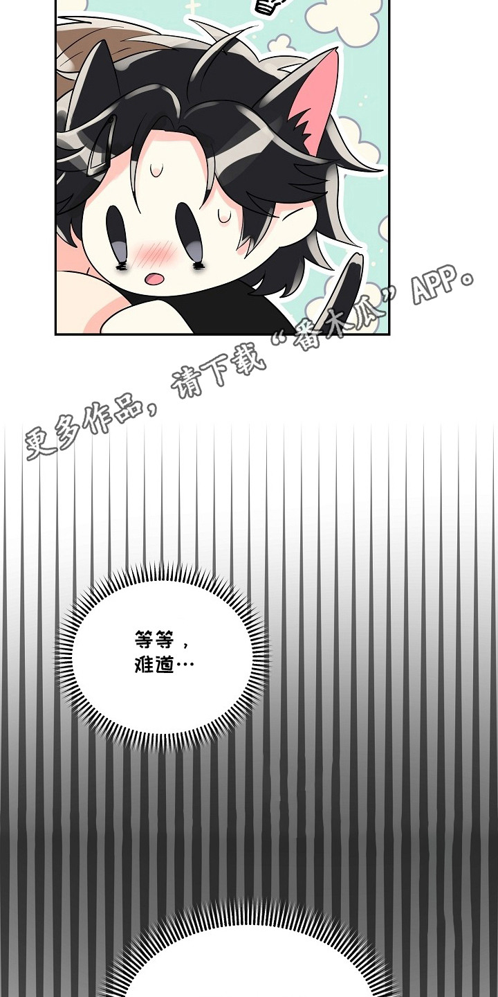 独家取材 - 很厉害 - 第20页